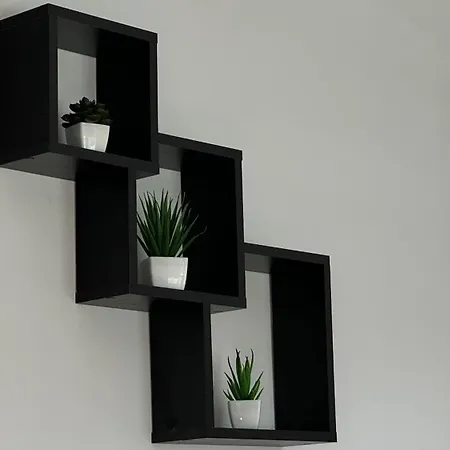 Arena Bgd - Hadrianz Belgrado