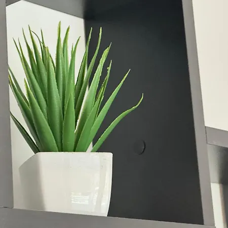 Apartmán Arena Bgd - Hadrianz